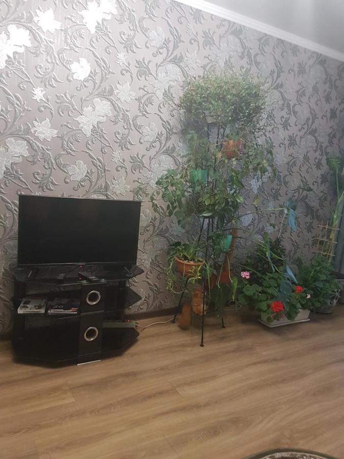 2Х Комнатная С Ремонтом В Центре.Renovated, Center Lejlighed Khmelʼnytsʼkyy Eksteriør billede